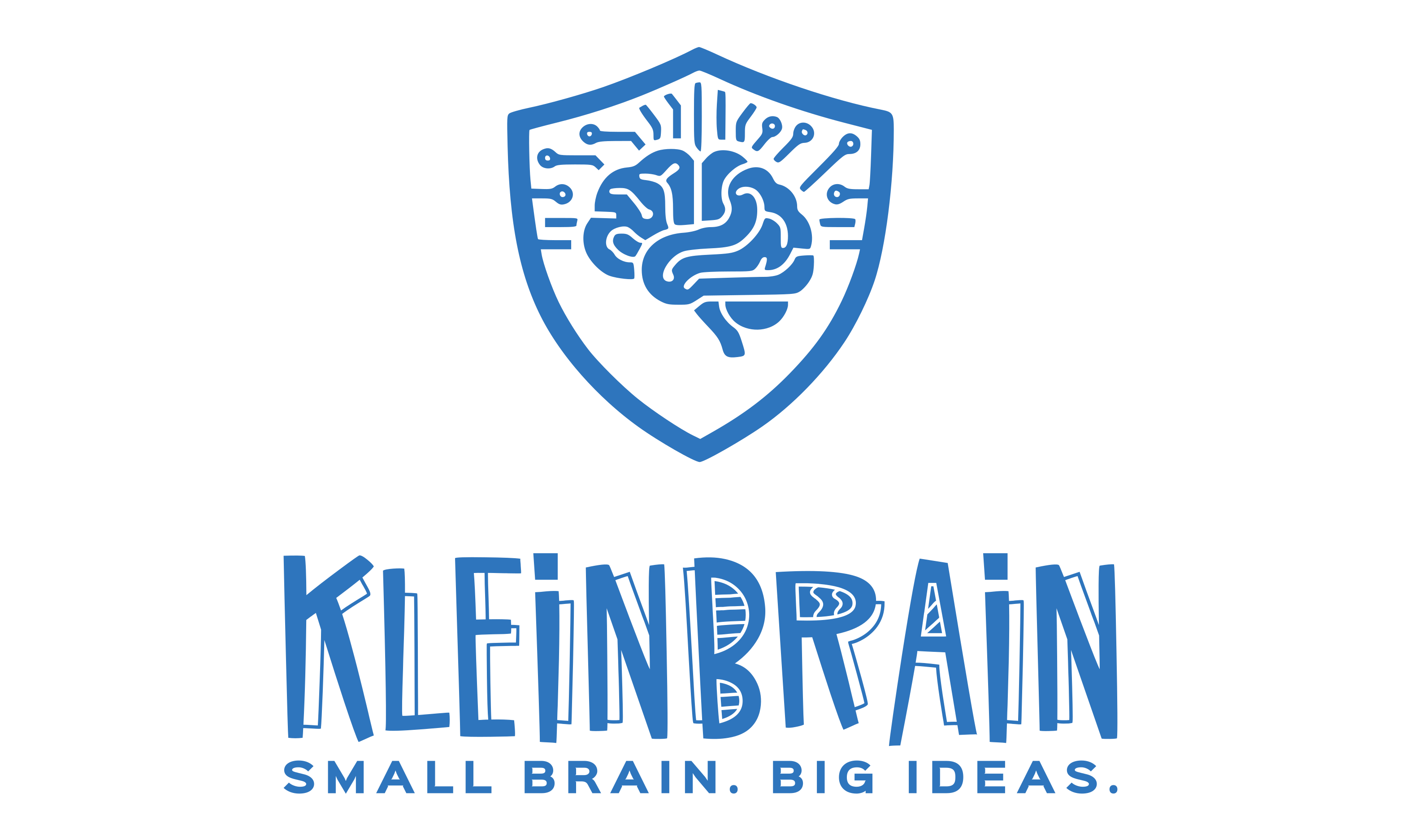 kleinbrain.com